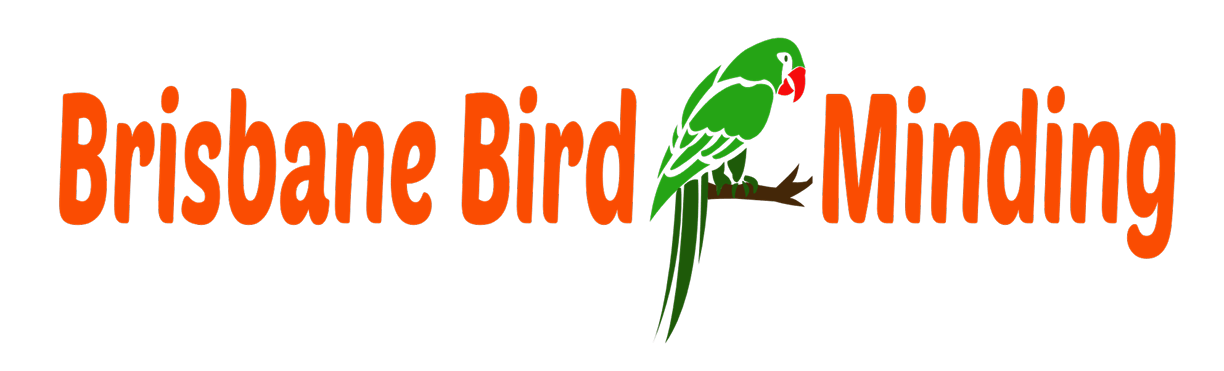 Brisbane Bird Minding